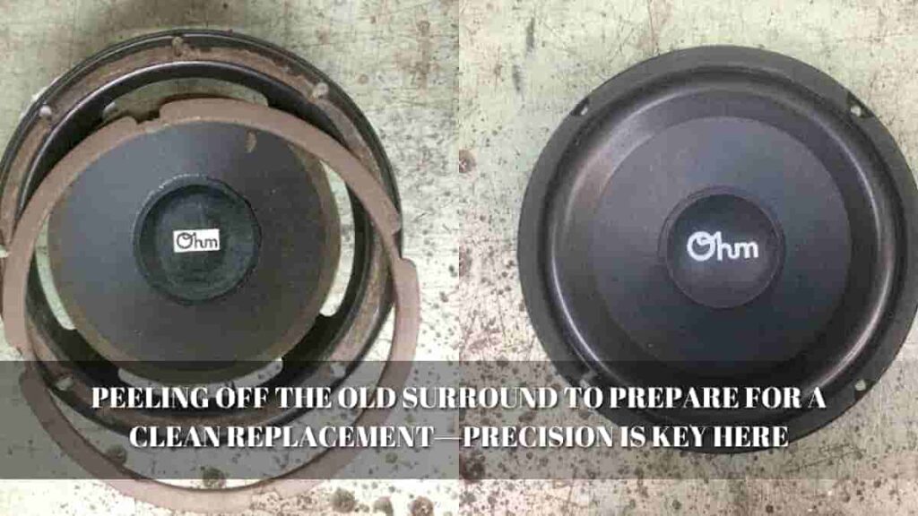 Blown Speaker Fix My Speaker
