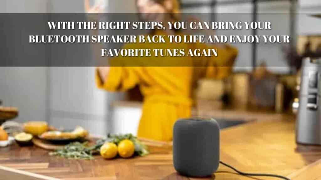 Fix My Speakers Bluetooth Speaker